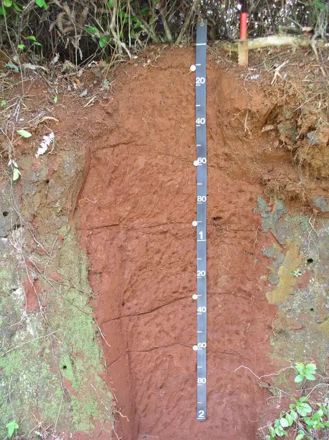 soil profile test pit showing red clay layers evaluated for a septic system